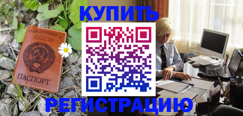 временная регистрация поиск в Долгопрудном